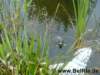 bild5600_small.jpg