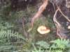 bild6816_small.jpg